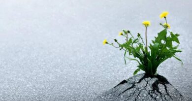 RESILIÊNCIA - FORÇA, CORAGEM, SABEDORIA, FELICIDADE, EMOÇŌES, TRISTEZA, DIFICULDADES, OBSTÁCULOS, DESAFIOS, CONQUISTAS, AUTOESTIMA, CONFIANÇA, FÉ, FLOR, PACIÊNCIA, CIMENTO, MEDOS, APRENDIZADO